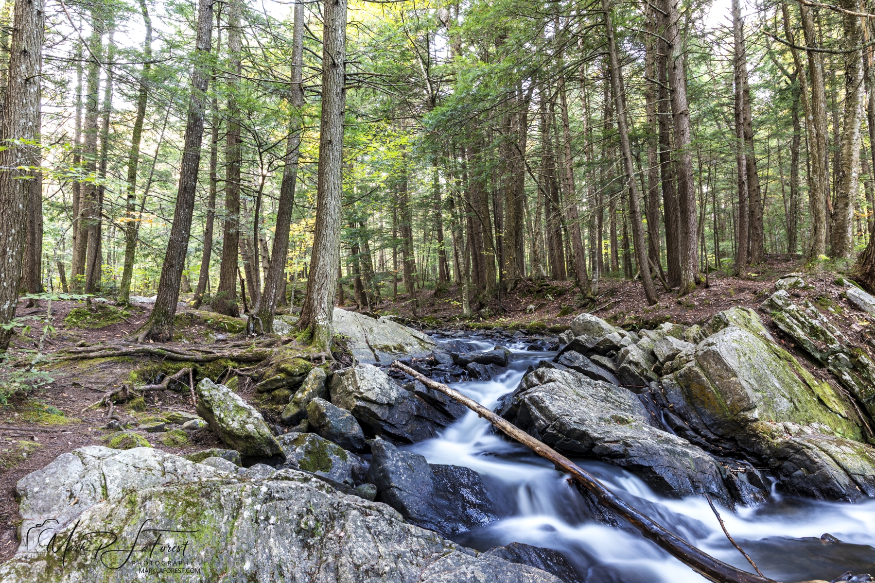 Thundering Brook, Killington, Vermont, 2022